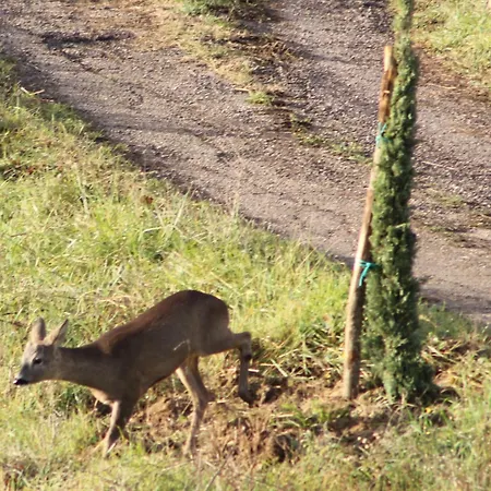 Holiday home Il Vallo Guardiagrele