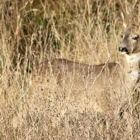 Il Vallo * Guardiagrele