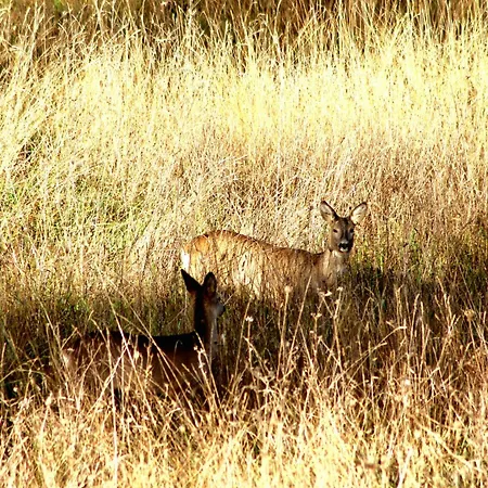 Il Vallo Guardiagrele
